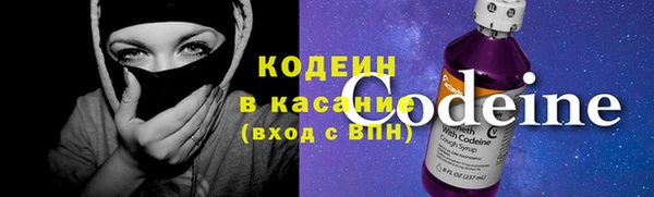2c-b Бородино