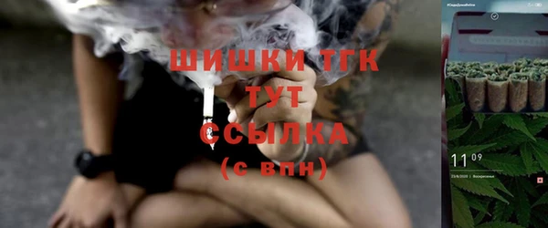 2c-b Бородино