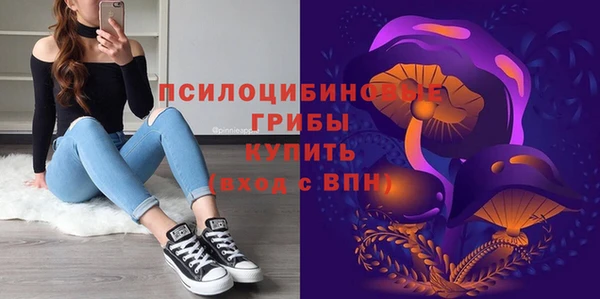 2c-b Бородино